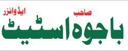 bajwa urdu logo